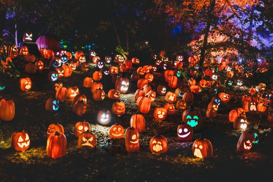 Griezelige lichtjes creëren een enge sfeer.